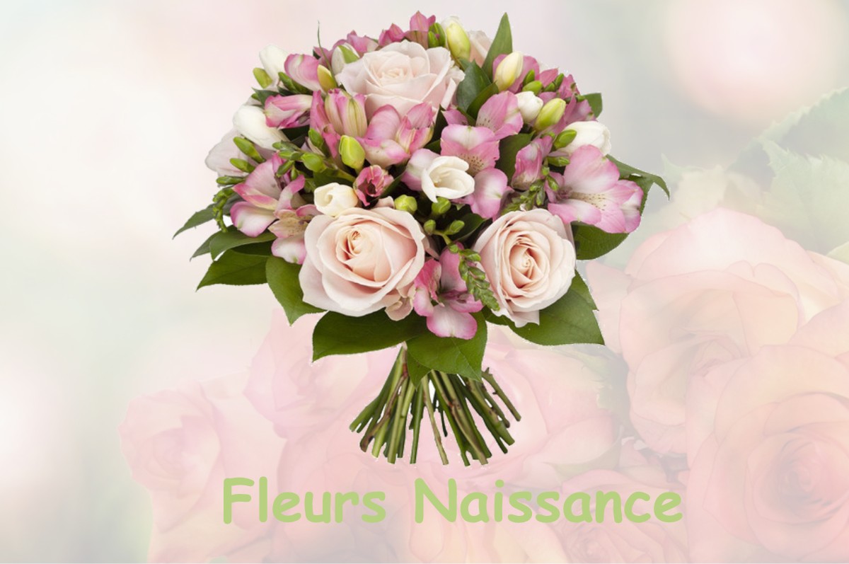 fleurs naissance REMBERCOURT-SOMMAISNE