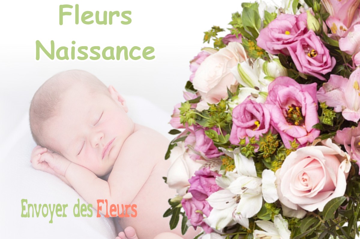 lIVRAISON FLEURS NAISSANCE à REMBERCOURT-SOMMAISNE